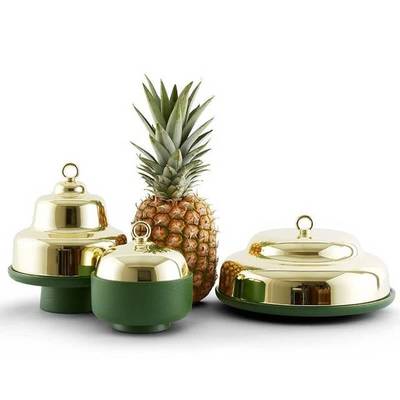 星之礼 | 我为十二星座准备了圣诞节专属病人陪护服务